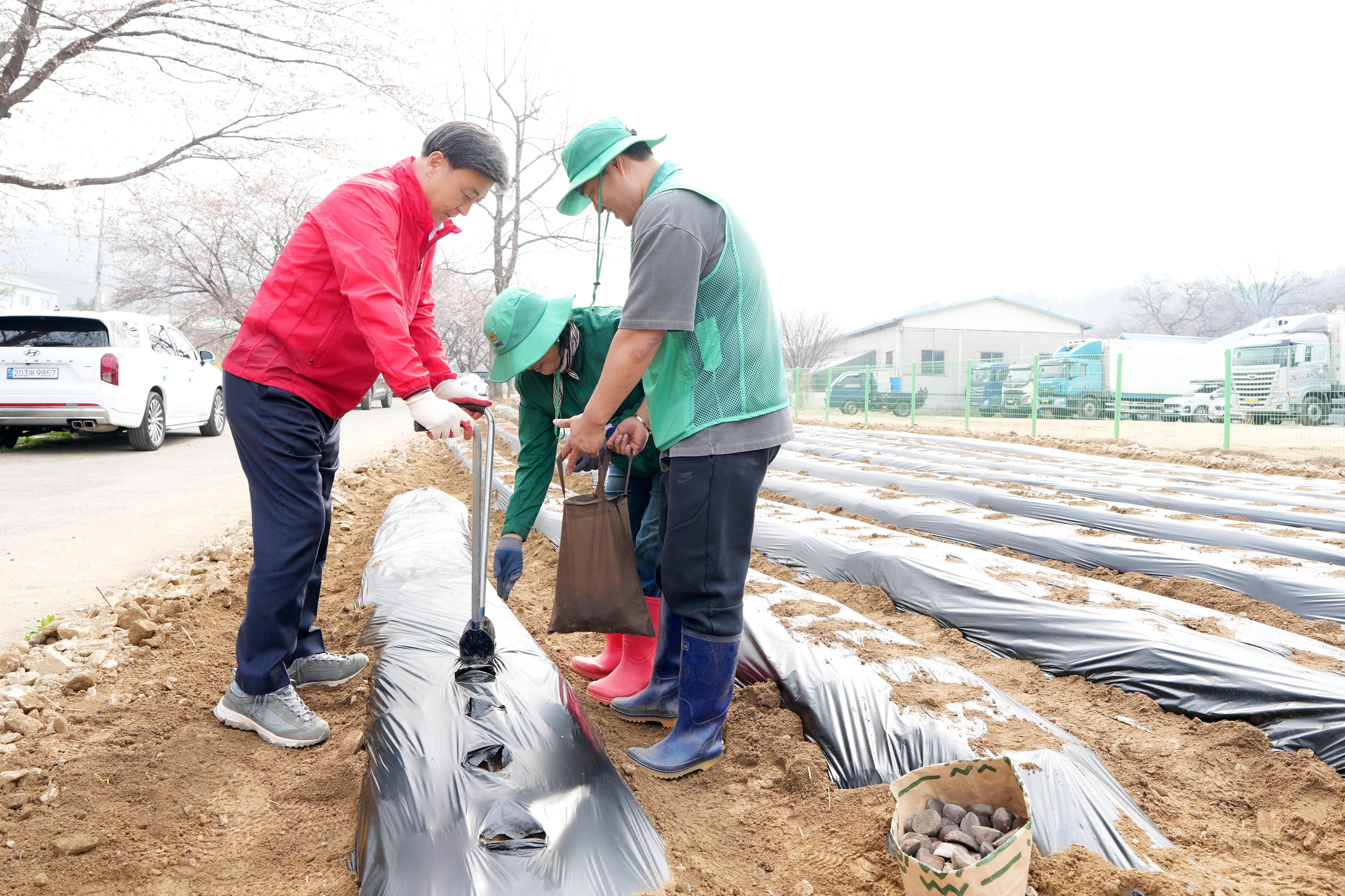 광주시 오포2동, 공동체 텃밭서 &lsquo;사랑의 감자 심기&rsquo; 추진 (1).jpg