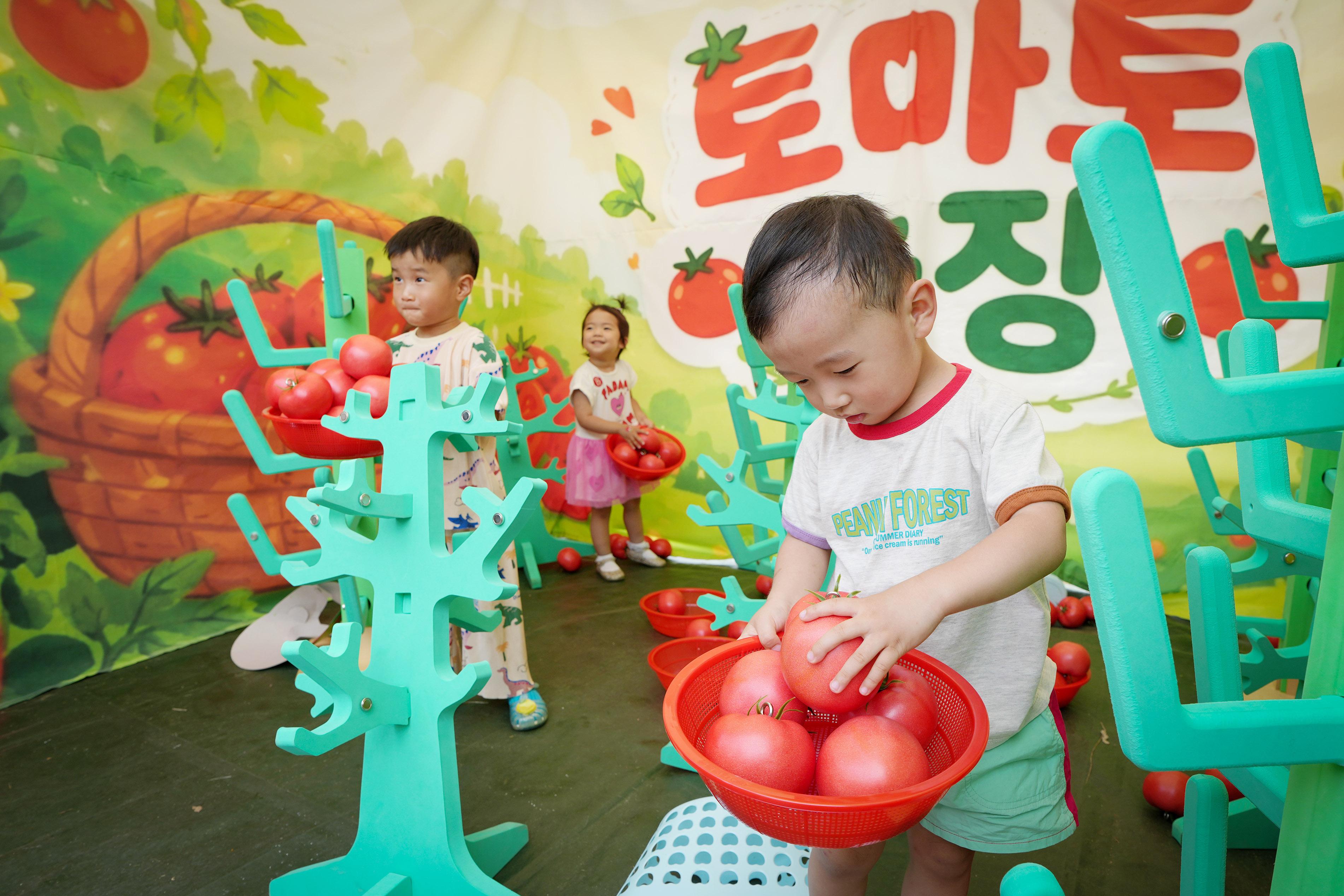 제24회 퇴촌토마토거리축제 사진 모음