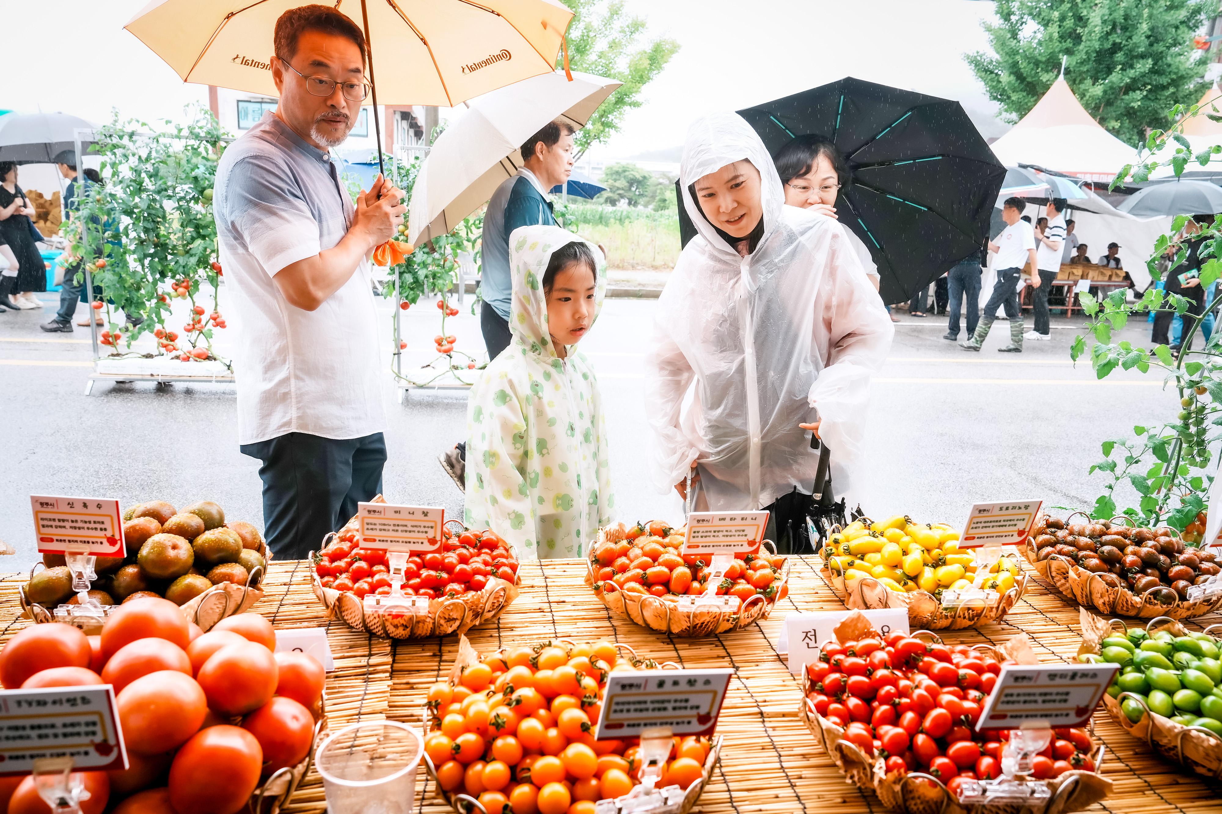 제24회 퇴촌토마토거리축제 사진 모음