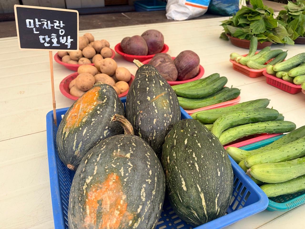 광주시농업기술센터, 남한산성면서 만차랑단호박 첫 수확 (3).jpg