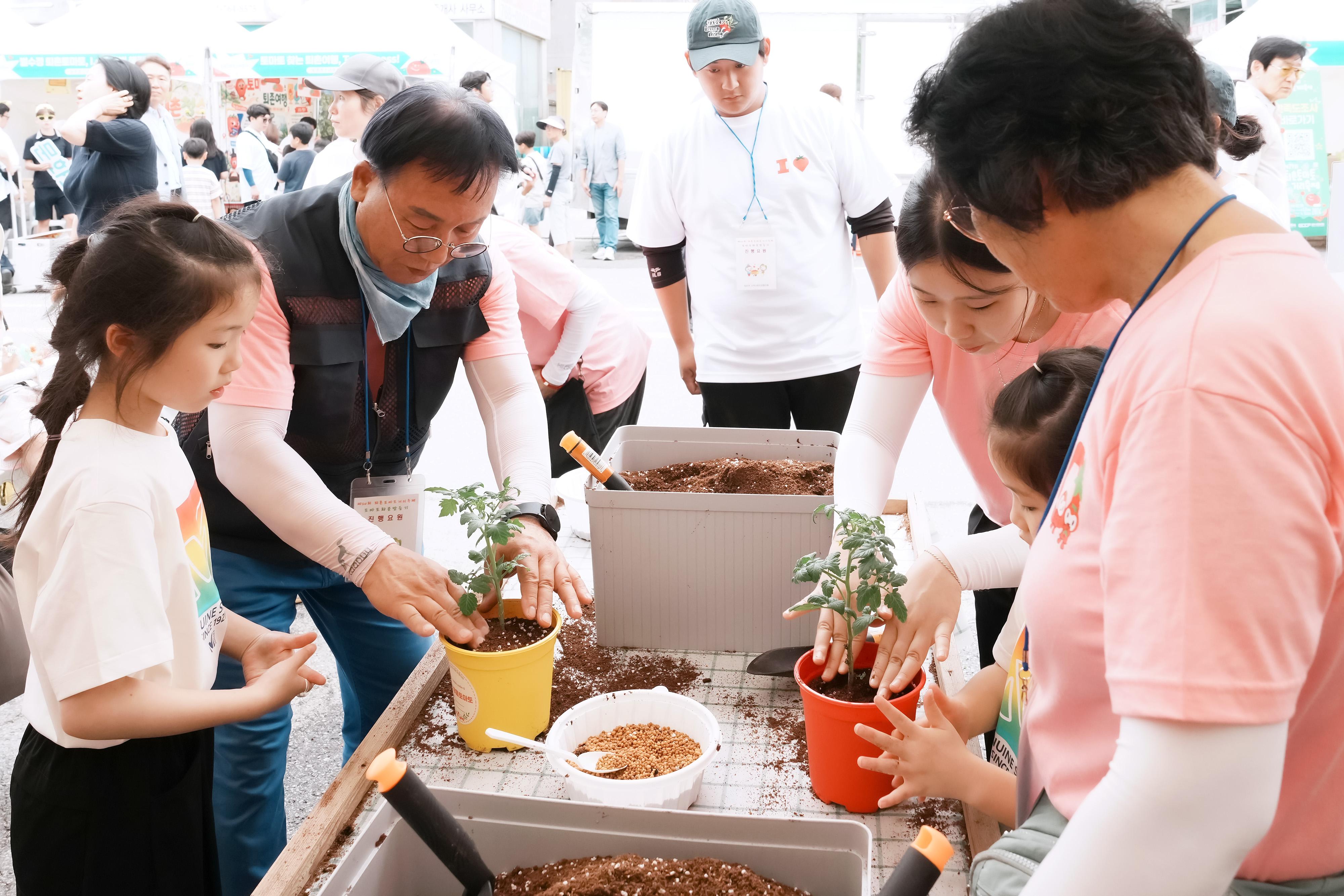 제24회 퇴촌토마토거리축제 사진 모음