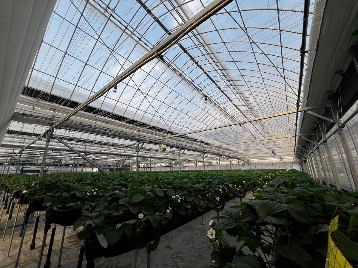 광주시, 선택형 맞춤 농정사업 추진&hellip;명품 농산물 육성 본격화 (2).jpg