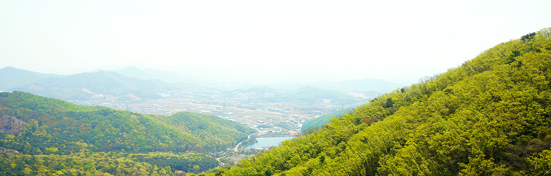 태화산 전경1