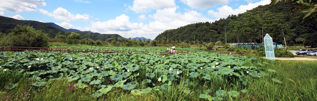 慶安湿地生態公園1