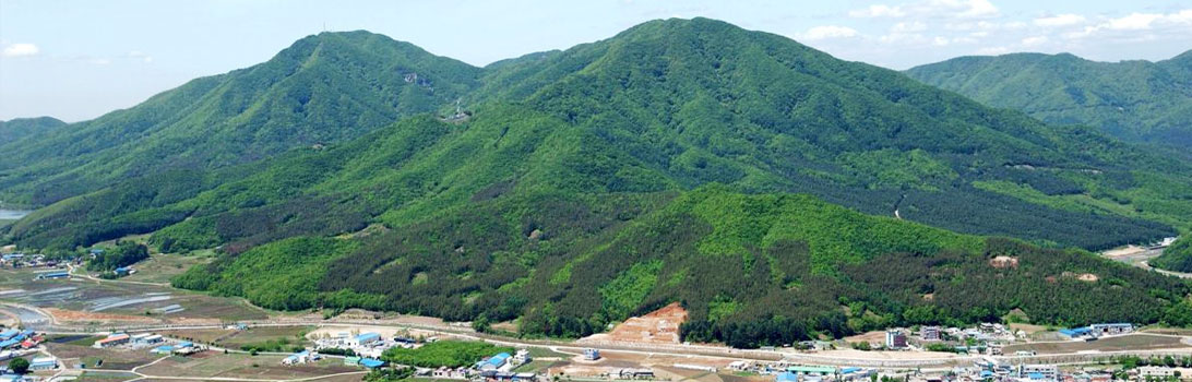 泰华山1