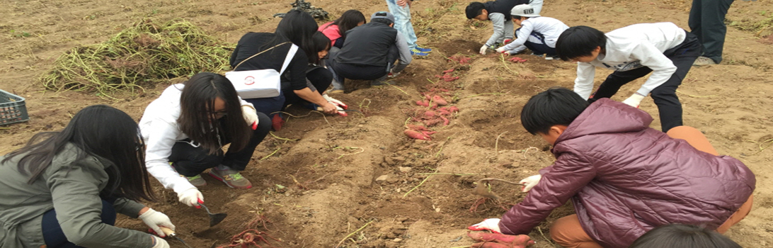 오색향농원 전경7